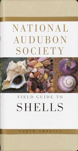 National Audubon Society Field Guide to Shells: North America (National Audubon Society Field Guides)