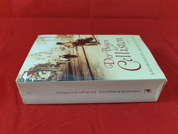 Der Bogen des Cellisten: Roman