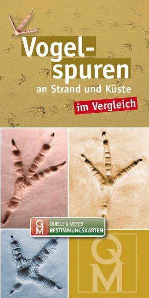 Vogelspuren