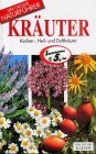 Mein grosses Buch über die Entdecker