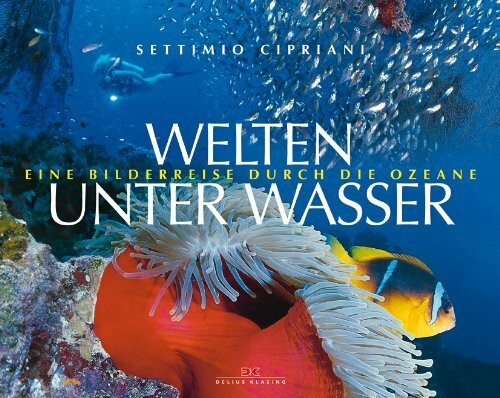 Welten unter Wasser: Eine Bilderreise durch die Ozeane