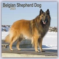 Belgian Shepherd Dog - Belgischer Schäferhund 2023