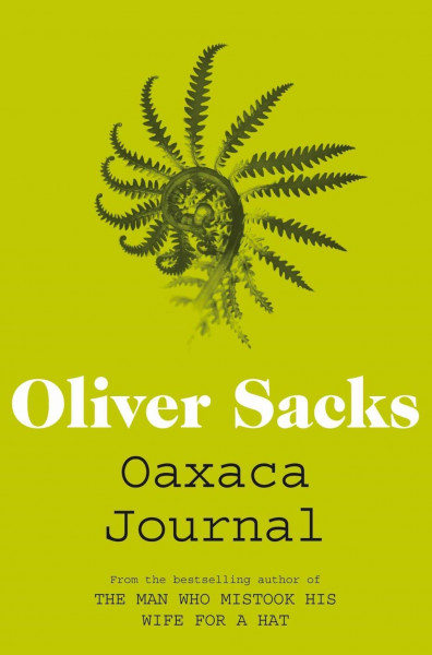 Oaxaca Journal