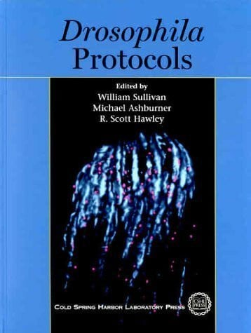 Drosophila Protocols