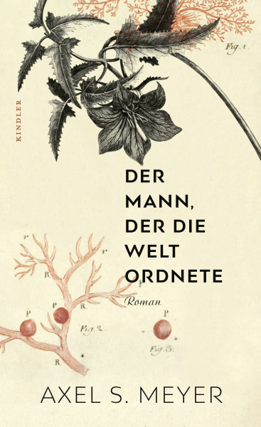 Der Mann, der die Welt ordnete: Ein historischer Roman über den Naturforscher Carl von Linné