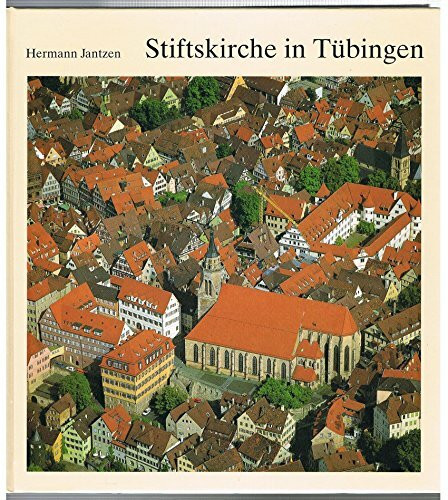 Stiftskirche in Tübingen (Beiträge zur Tübinger Geschichte)