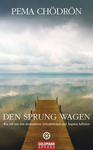 Den Sprung wagen: Wie wir uns von destruktiven Gewohnheiten und Ängsten befreien