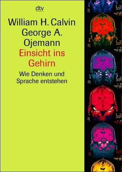 Einsicht ins Gehirn: Wie Denken und Sprache entstehen