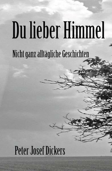 Du lieber Himmel: Nicht ganz alltägliche Geschichten