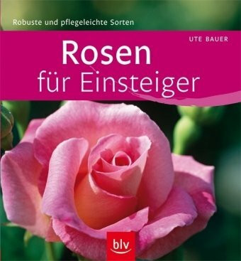 Rosen für Einsteiger: Besonders pflegeleichte Sorten aller Gruppen: Robuste und pflegeleichte Sorten