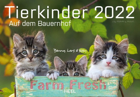 Tierkinder auf dem Bauernhof 2022