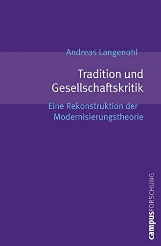 Tradition und Gesellschaftskritik: Eine Rekonstruktion der Modernisierungstheorie (Campus Forschung, 926)