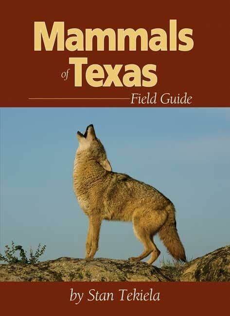 Adventure Publications Mammals Of Texas Field Guide (Mammal Identification Guides)