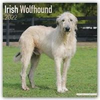 Irish Wolfhounds - Irische Wolfshunde 2022 - 18-Monatskalender mit freier DogDays-App