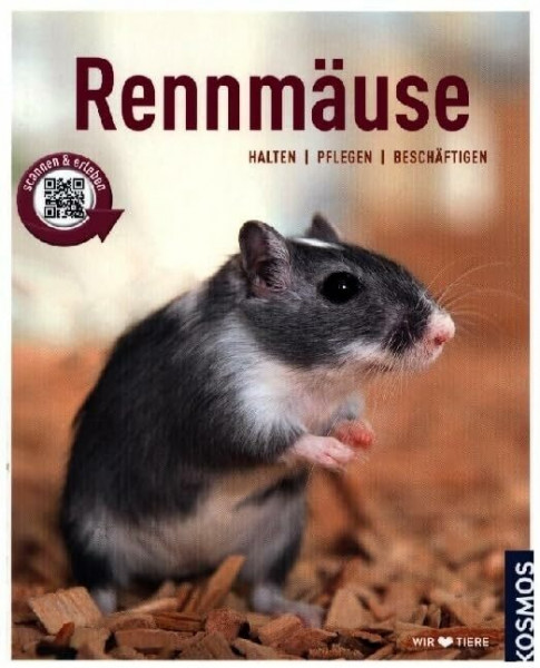 Rennmäuse: halten, pflegen, beschäftigen (Mein Tier)