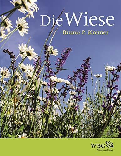 Die Wiese