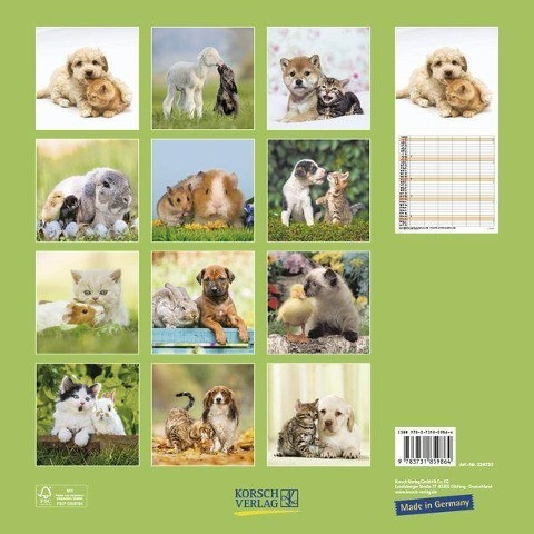 Tierfreundschaften - Familientimer 2023