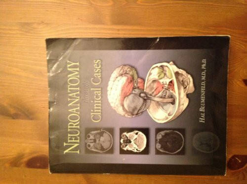 Neuroanatomy