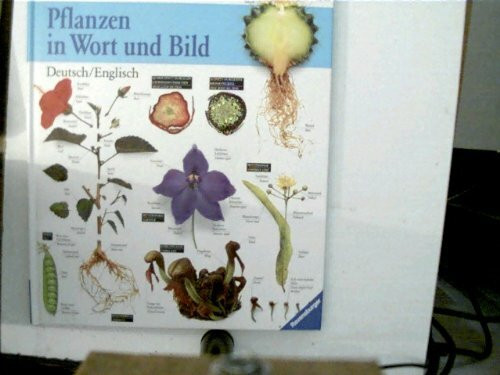 Pflanzen in Wort und Bild. Bildwörterbuch. Deutsch/Englisch. Serie: Visuelles Wissen.