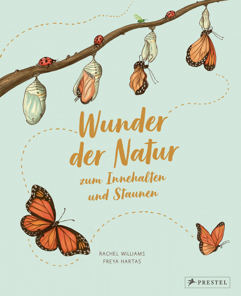 Wunder der Natur zum Innehalten und Staunen: 50 kleine Geschichten über alltägliche Naturereignisse (Wunder der Natur-Reihe, Band 1)