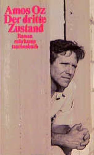 Der dritte Zustand: Roman (Suhrkamp Taschenbücher)