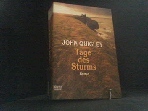 Tage des Sturms (Allgemeine Reihe. Bastei Lübbe Taschenbücher)