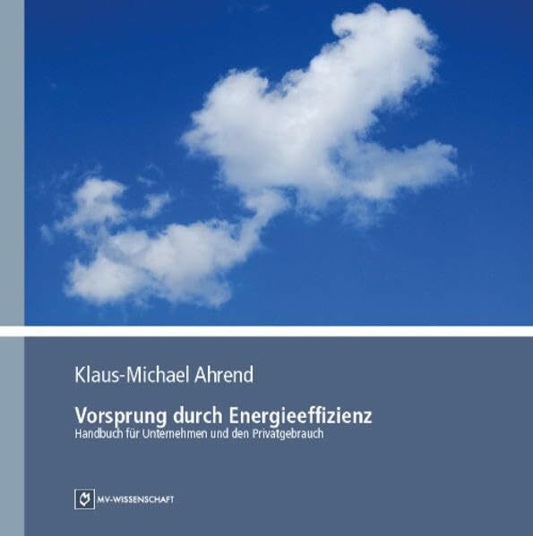 Vorsprung durch Energieeffizienz: Handbuch für Unternehmen und den Privatgebrauch