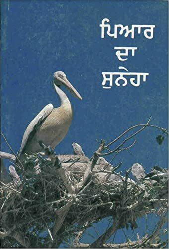 Punjabi (Ov) NT Hardback