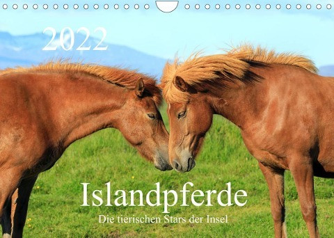 Islandpferde - Die tierischen Stars der Insel (Wandkalender 2022 DIN A4 quer)