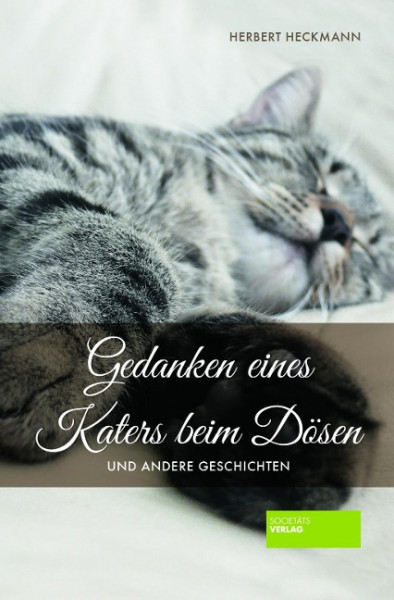 Gedanken eines Katers beim Dösen