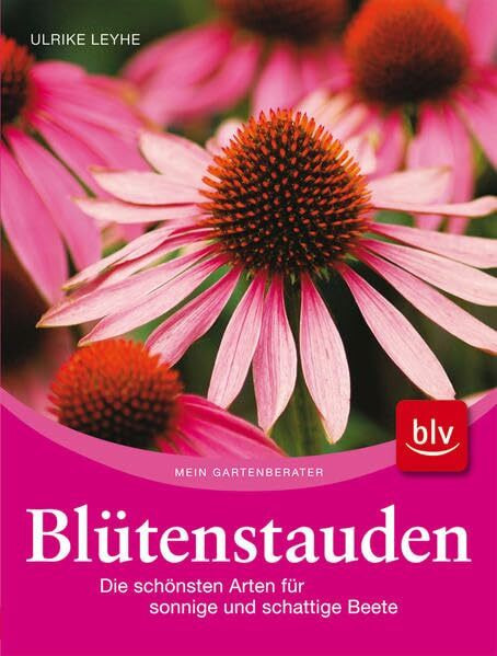 Blütenstauden: Die schönsten Arten für sonnige und schattige Beete