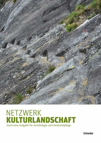 Netzwerk Kulturlandschaft: Auch eine Aufgabe für Archäologie und Denkmalpflege (Schriftenreihe zur Kulturgüter-Erhaltung, Band 1)