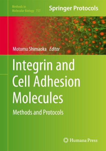 Integrin and Cell Adhesion Molecules: Methods and Protocols (Methods in Molecular Biology, 757, Band 757)