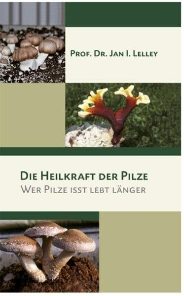 Die Heilkraft der Pilze: Wer Pilze isst lebt länger