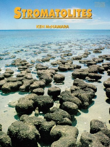 Stromatolites