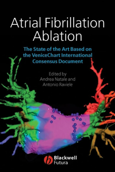 Atrial Fibrillation Ablation: The State of the Art Based on the Venicechart International Consensus Document