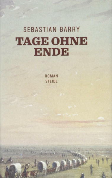 Tage ohne Ende: Roman