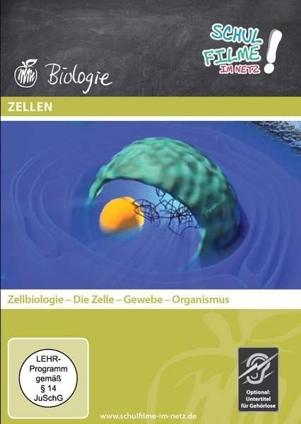 Zellen