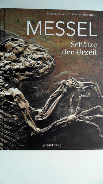 Messel: Schätze der Urzeit