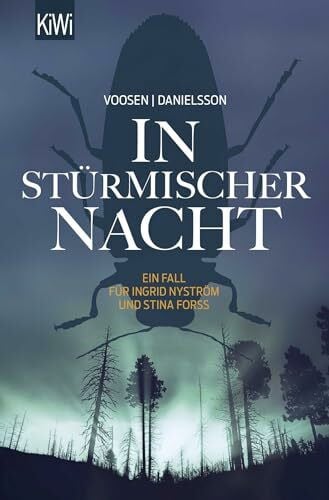 In stürmischer Nacht: Ein Fall für Ingrid Nyström und Stina Forss (Die Kommissarinnen Nyström und Forss ermitteln, Band 4)