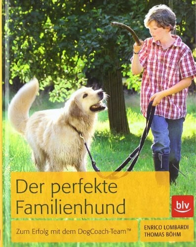 Der perfekte Familienhund: Mehr Erfolg mit dem DogCoach-Team