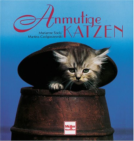 Anmutige Katzen