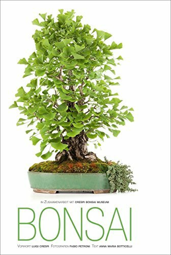 Bonsai Handbuch: 30 faszinierende Aufnahmen von Meisterfotograf Fabio Petroni zu Ahorn, Ginkgo, Azalee, Wacholder oder Glyzinie Bonsaipflanzen aus dem Crespi Bonsai Museum