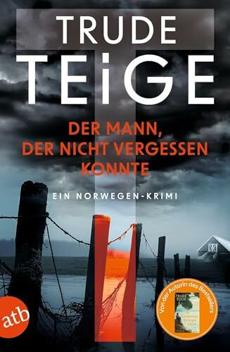 Der Mann, der nicht vergessen konnte: Ein Norwegen-Krimi (Kajsa Coren, Band 6)
