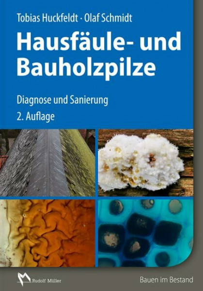 Hausfäule- und Bauholzpilze: Diagnose und Sanierung