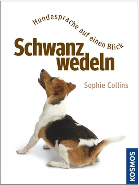 Schwanzwedeln: Hundesprache auf einen Blick
