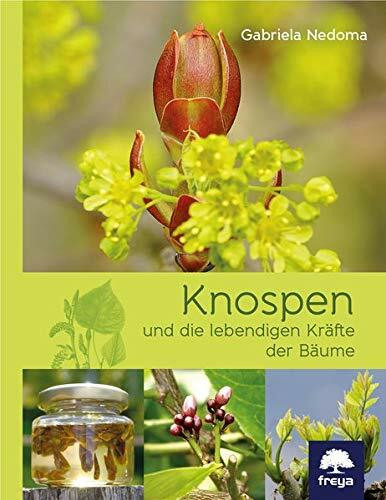 Knospen: und die lebendigen Kräfte der Bäume