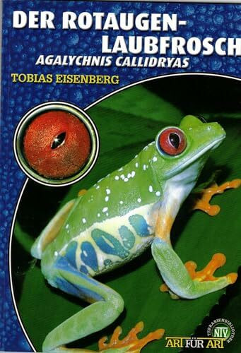 Der Rotaugenlaubfrosch: Agalychnis callidryas (Buchreihe Art für Art Terraristik)
