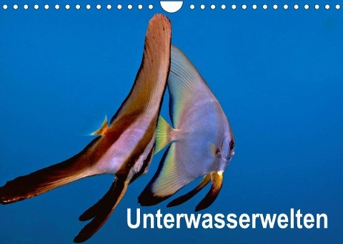 Unterwasserwelten (Wandkalender 2022 DIN A4 quer)