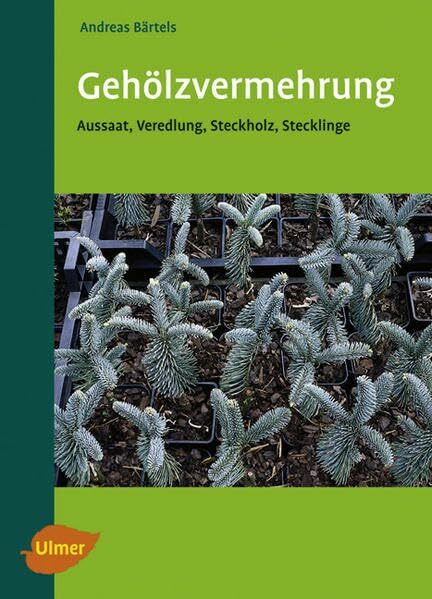 Gehölzvermehrung - Aussaat - Veredlung - Steckholz - Steckling: Aussaat, Veredlung, Steckholz, Stecklinge